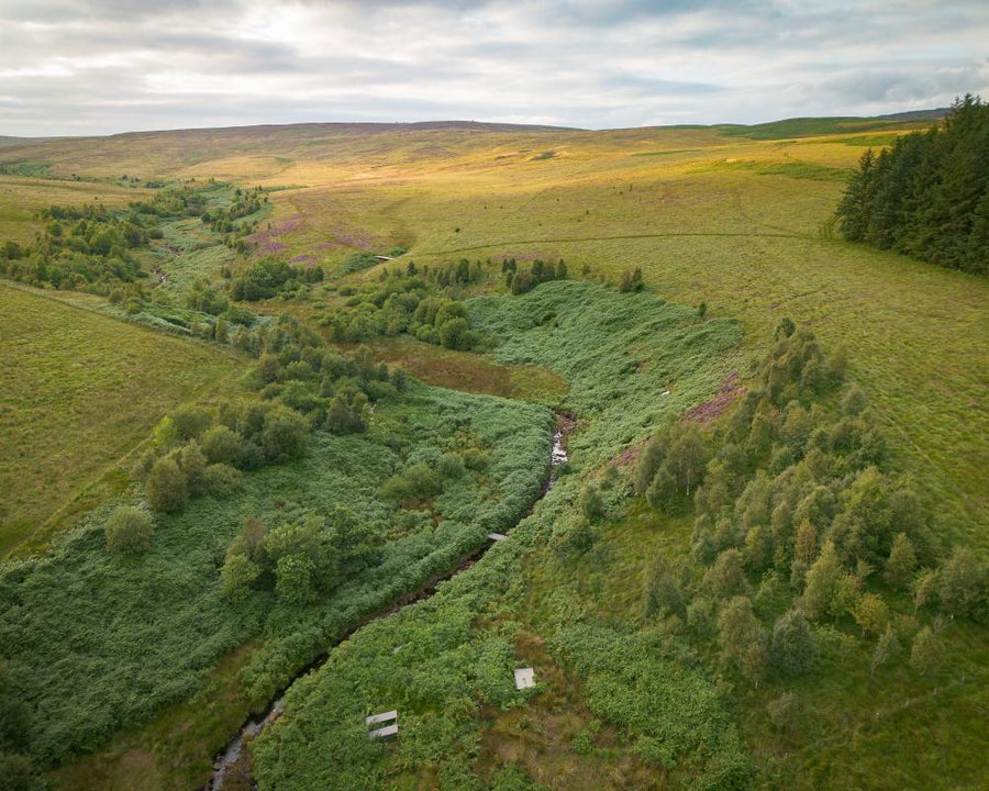 Rewilding Project Redefines Land Ownership in Britain