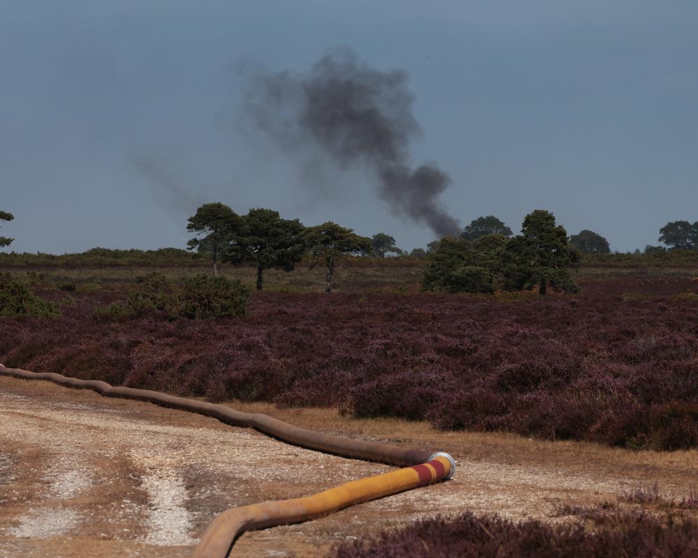 Photo: grandgoldman.com New Forest Wildfire Stokes UK Heatwave Fire Safety Fears