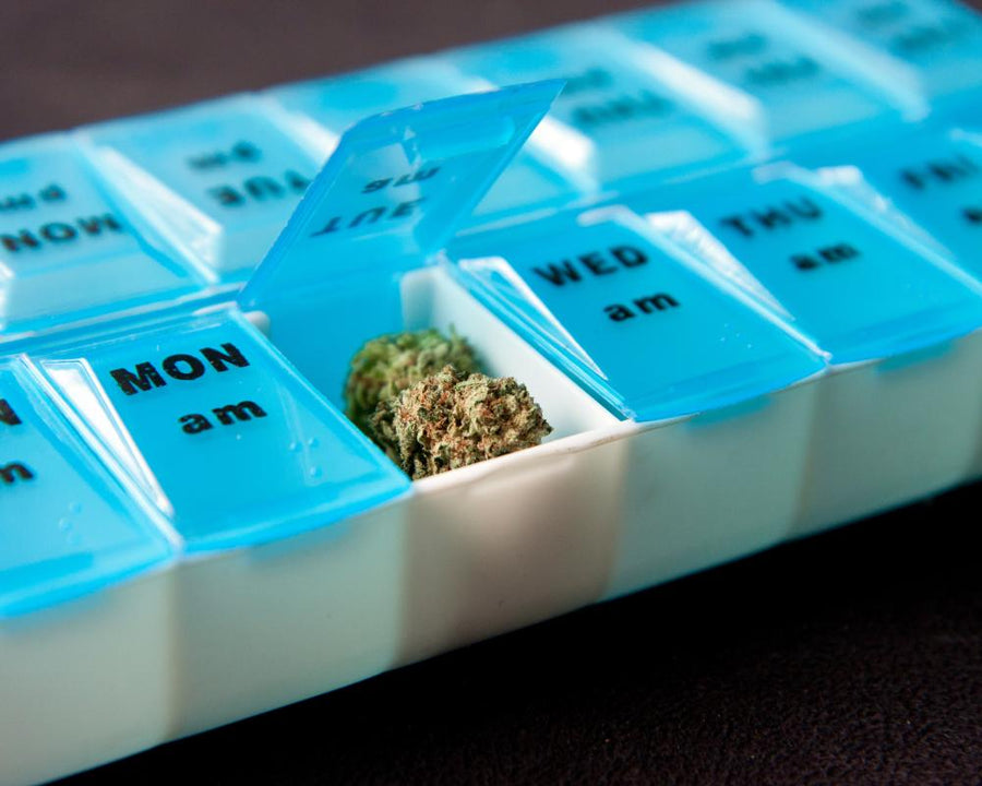 Medical Cannabis Prescriptions: Private Providers vs NHS in UK