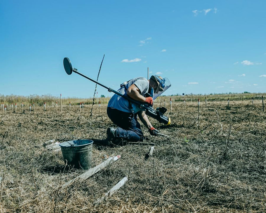 Ukraine Landmine Removal: Challenges and Solutions