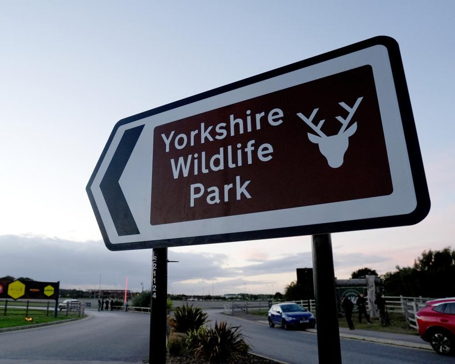 Tiger at Yorkshire Wildlife Park Won't Be Euthanised After Fatal