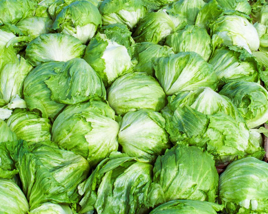 CDC Declares Largest Cyclospora Outbreak Officially