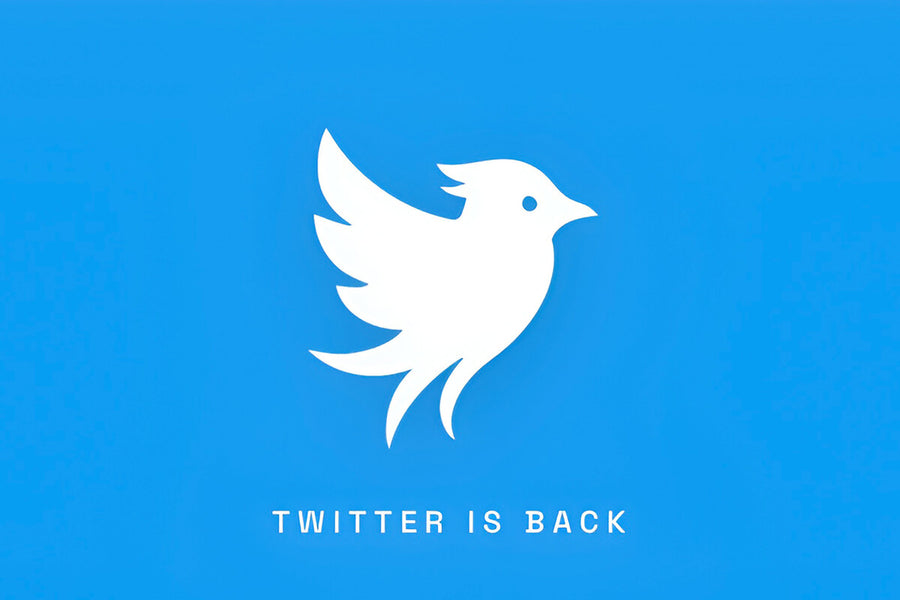 Twitter Name Revived by Startup Despite Elon Musk's Legal Threats