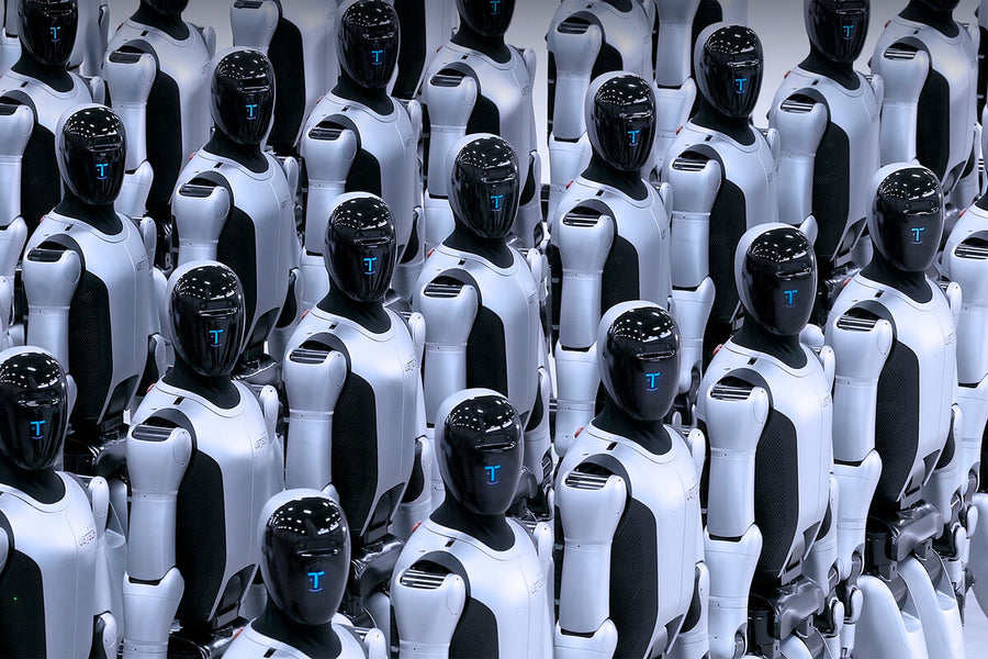 Chinese Tesla Rivals Race to Flood Market With Affordable Humanoid Robots