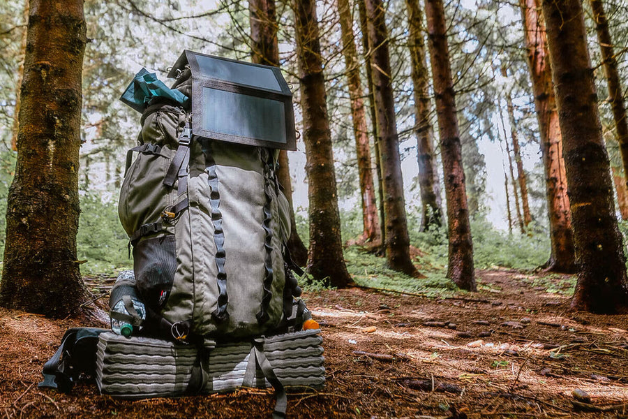 Silicon Valley AI Experts Prep for Tech Apocalypse Survival