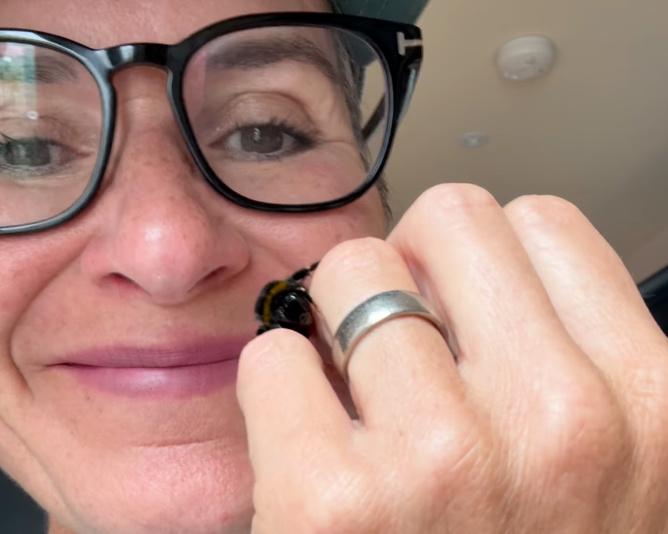 Bee Rescue Goes Viral: A Story of Kindness and Authenticity