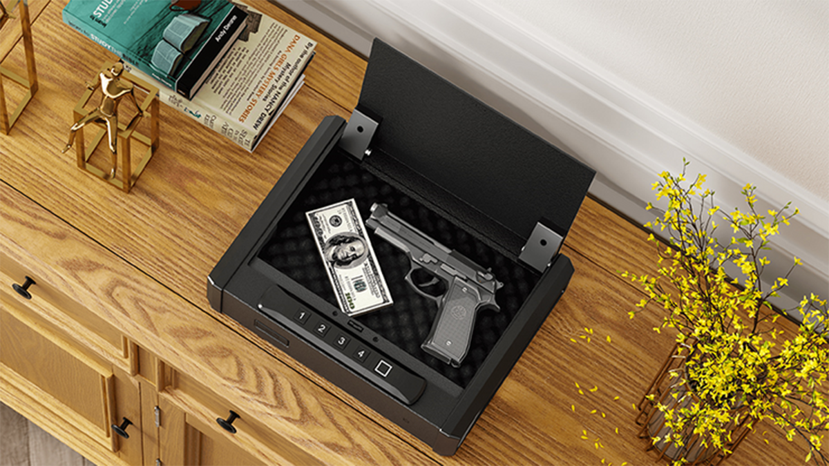 10 Best Quick Access Gun Safe (Reviews) – Grand Goldman