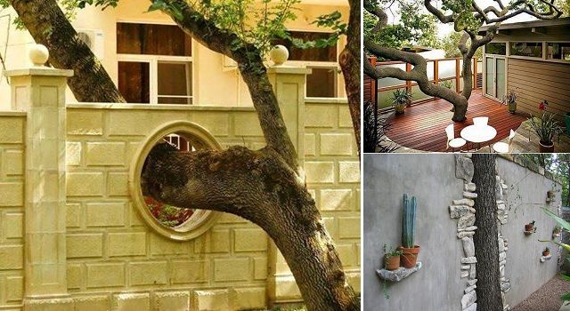 Ideas to incorporate a tree into your home and live surrounded by nature! - grandgoldman.com