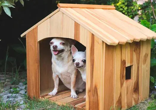 Complete Guide to Build a Pet House the Easy Way - grandgoldman.com