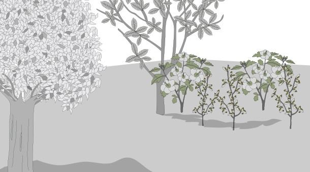 Make an autumn garden in 1m2 - grandgoldman.com