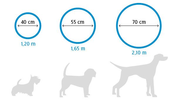 Build a 360-degree shower for your pet - grandgoldman.com