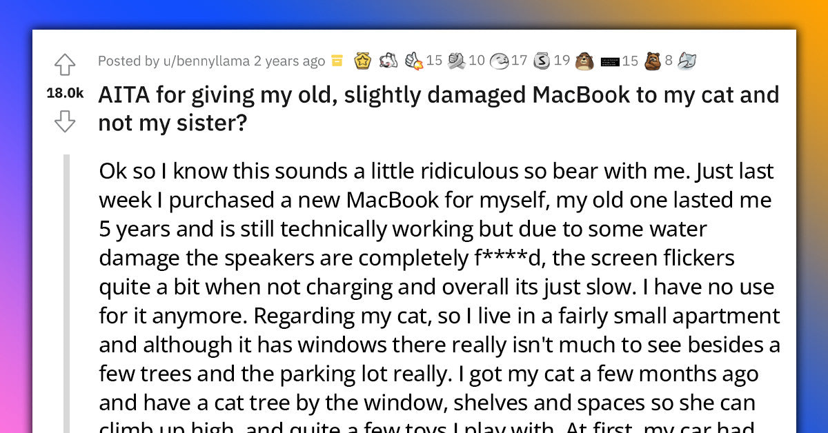 Guy Asks If He’s Wrong For Giving His Old Laptop To His Cat And Not His Sister - grandgoldman.com