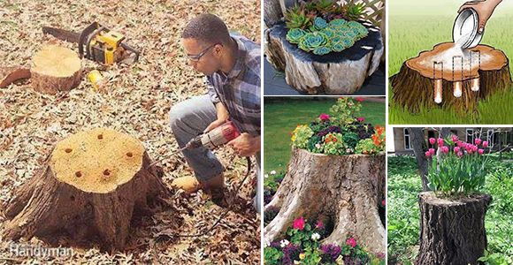Learn how to turn an old tree into a beautiful eco-friendly planter! - grandgoldman.com