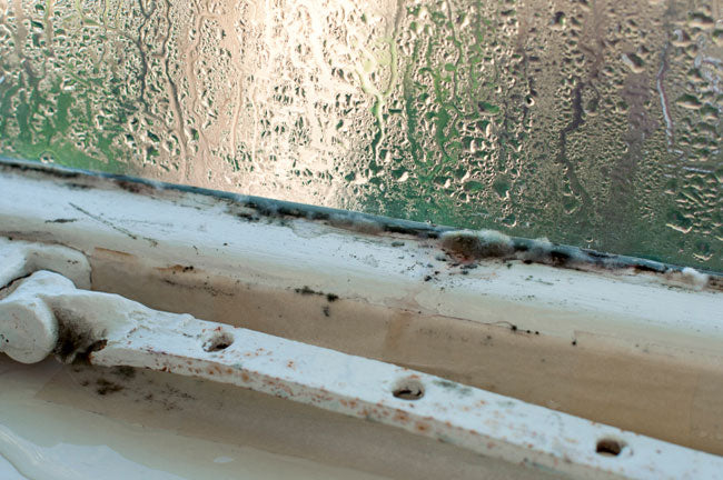 How to Permanently Fight Condensation on Walls