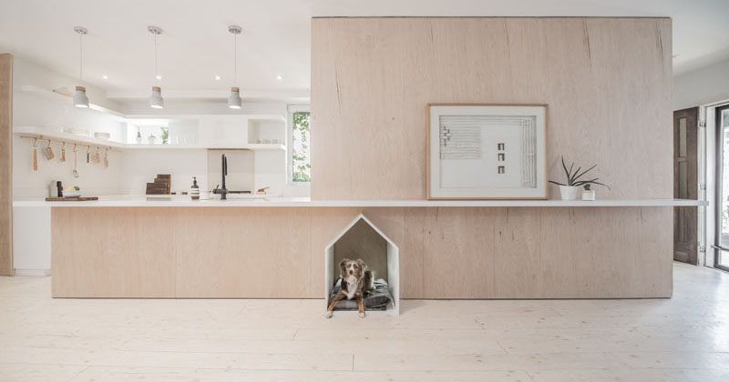 Designing a Custom House for Your Pets - grandgoldman.com