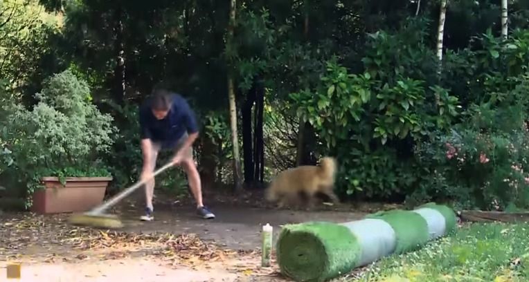 How to lay artificial grass - grandgoldman.com