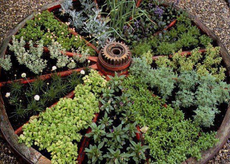 How to Create and Maintain Container Herb Gardens: Complete Guide - grandgoldman.com