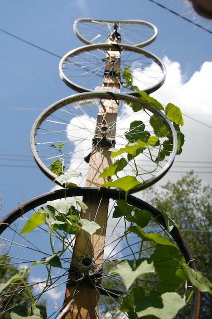 Trellis with Recycled Materials: Complete Guide to a Sustainable Garden - grandgoldman.com