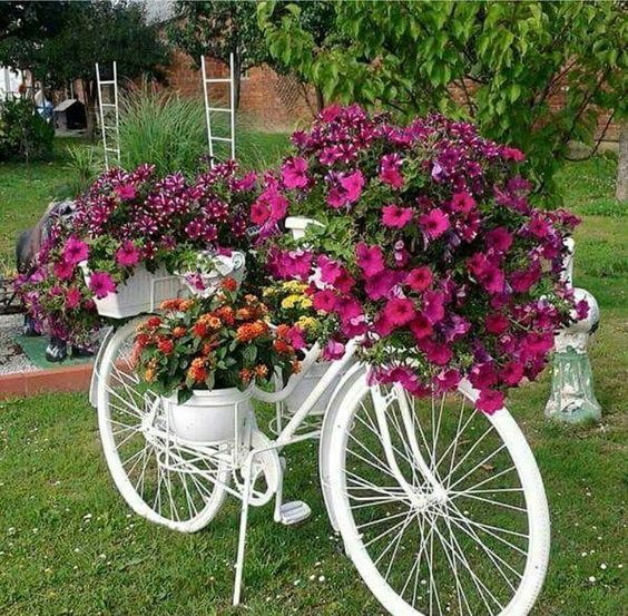 15 Unique Bicycles That Will Impress You - grandgoldman.com