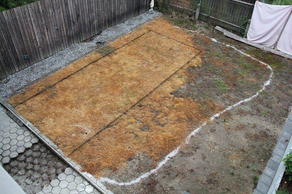 This is how you can build a modern swimming pool in a short time and without spending a lot of money! - grandgoldman.com