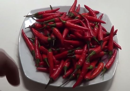 Make an insecticide with 4 homemade ingredients and protect your garden from pests - grandgoldman.com