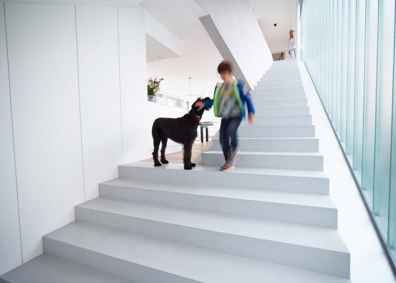 Incredible Stairs with Slides! - grandgoldman.com