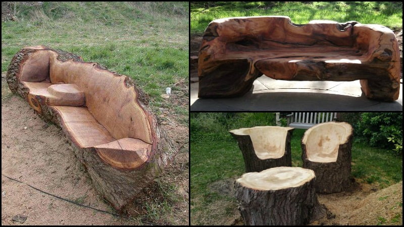 Unique furniture made from tree trunks! - grandgoldman.com