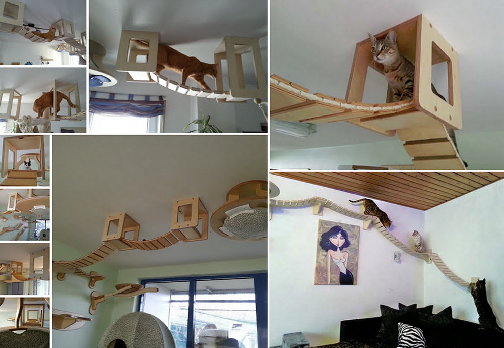 Cat Play Parks with Walkways and Platforms - grandgoldman.com