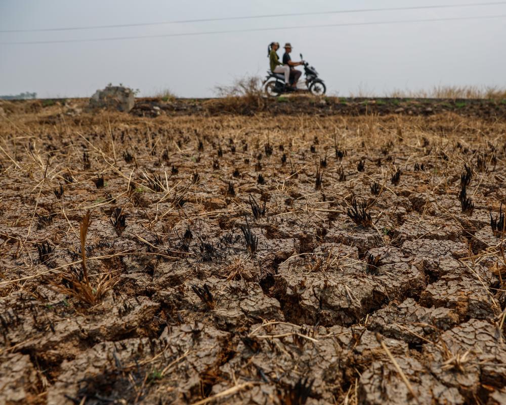 Supersized El Niño 2024: Climate Crisis and Global Impact