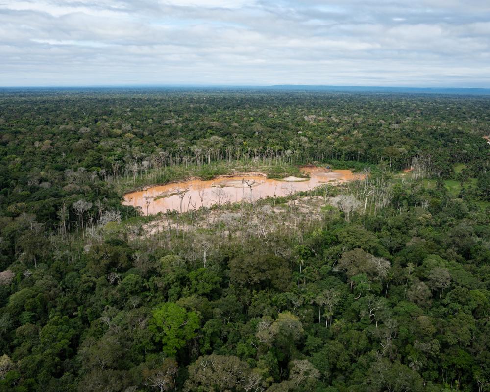 How Gold Surpassed Cocaine as Peru's Top Criminal Industry