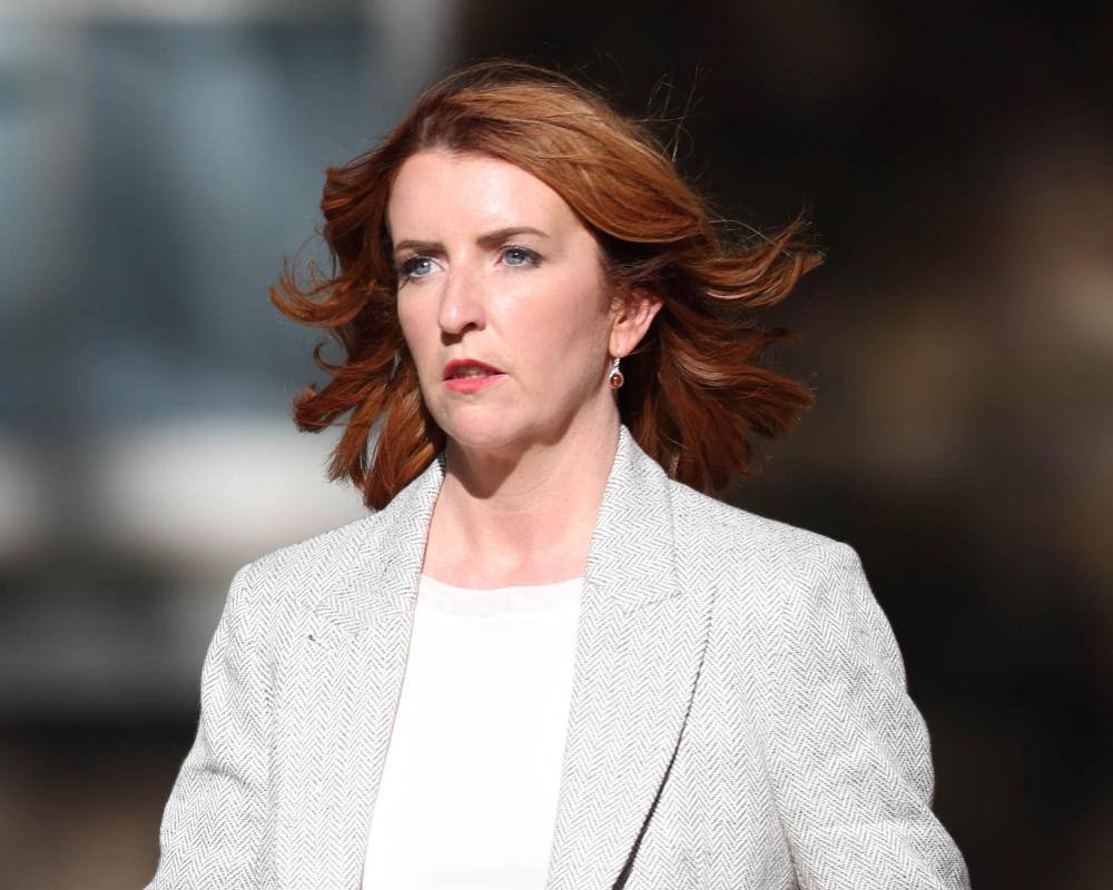 UK AI Regulation: Louise Haigh Urges Heeding Expert Warnings