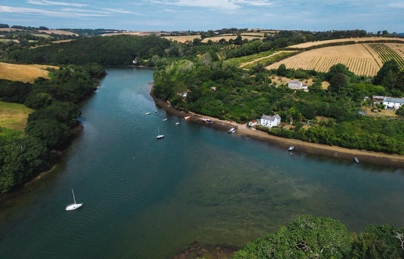 Cornwall's River Fal: Farmers, Fishers and Beavers Unite to Save