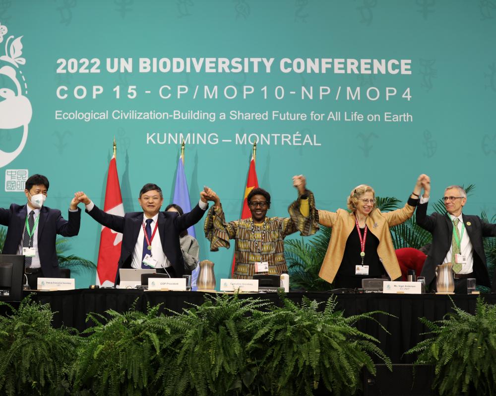Biodiversity Targets Slipping Away Four Years After Cop15