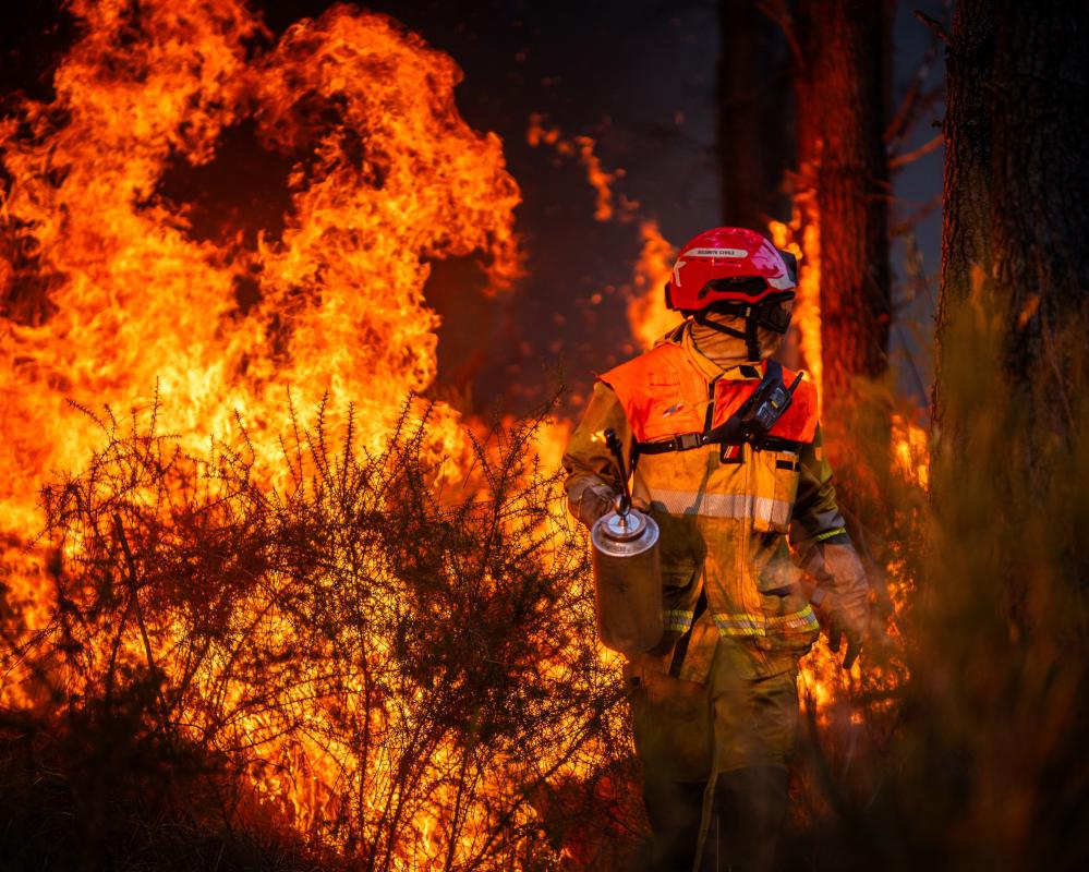 France Wildfire Arson Crisis: 514 Arrests in Record Summer