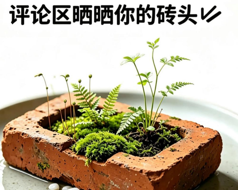 China's Stressed Youth Embrace 'Brick Babies' as Zero-Energy
