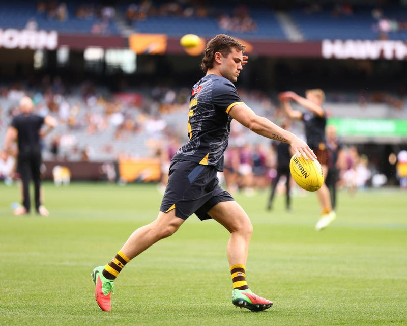 Hawthorn Hawks vs Brisbane Lions AFL Preliminary Final Showdown