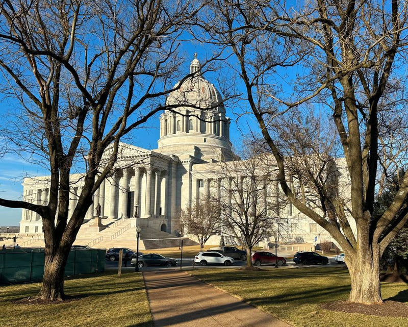 Missouri Candidate Accused of Cocaine Plant Scheme in House Race