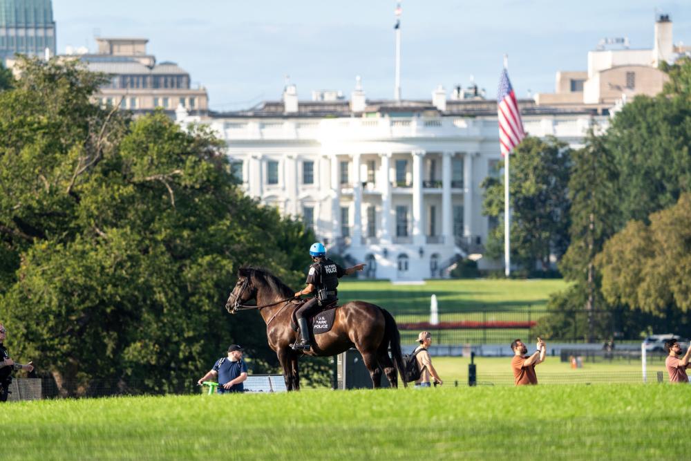 Trump Media Ban: MS Now Denied White House Access