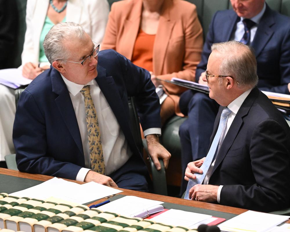 Australia Politics Live: Visa Work Rights Debate and NDIS Reform