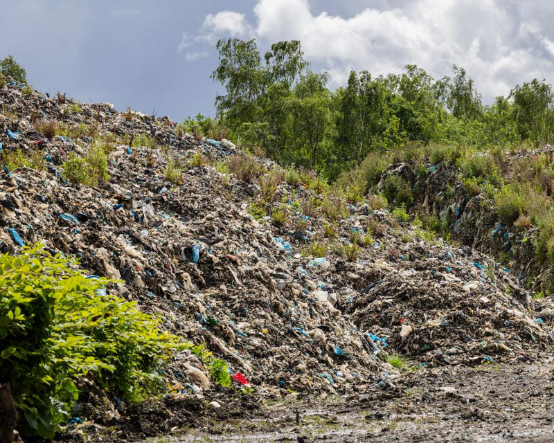 Taxpayer-Funded Cleanup of Illegal Dumps: New Government Drive