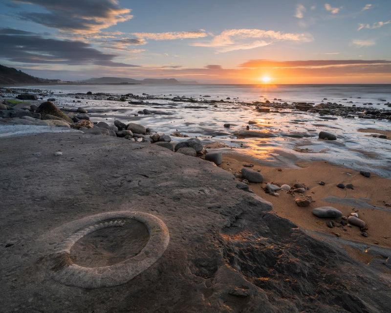 Protect Fossil Heritage: Stop Hammer-Wielding Tourists