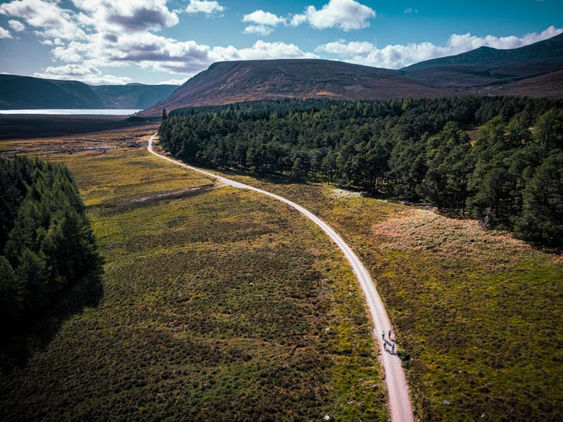 Cairngorms Bike Ride: Wildfire Recovery and Bikepacking Routes