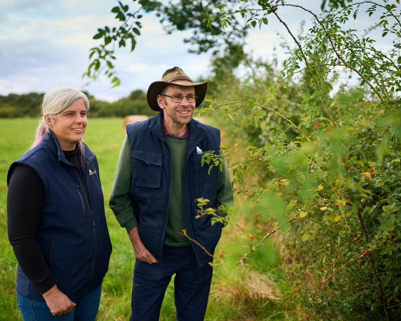 Hedge Laying: Ancient Craft for Modern Farm Conservation