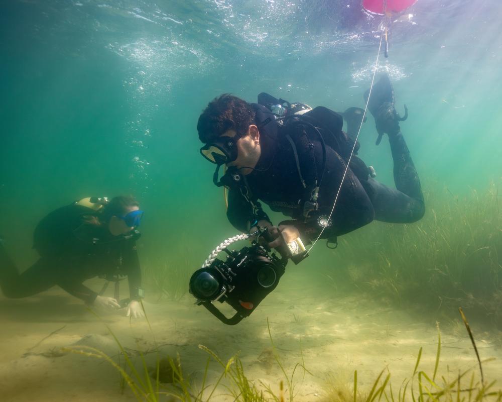 Eco Moorings Heal Seagrass Scars in Dorset's Studland Bay