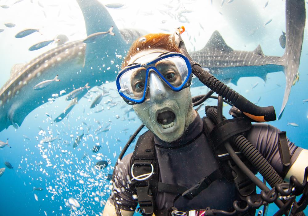 Shark Selfies: Why Finfluencers Must Stop Risking Attacks