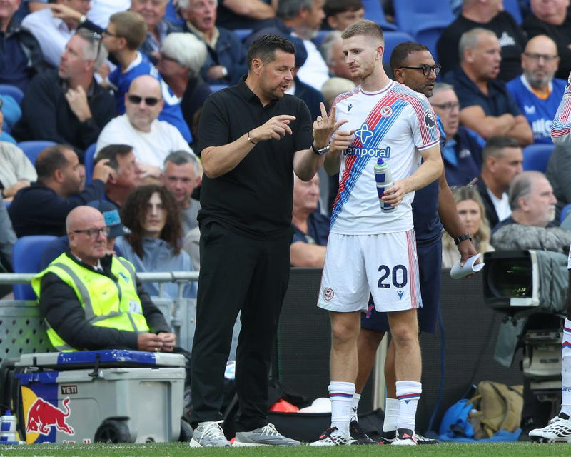 Crystal Palace Transfer Window Chaos Tests New Boss Pierre Sage