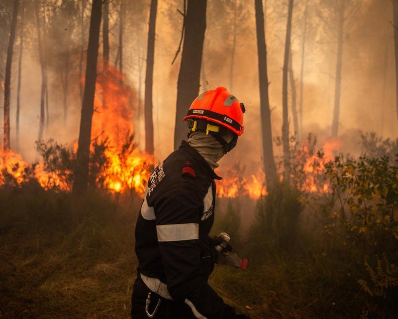 Climate Crisis in France: Wildfires Force Political Reckoning