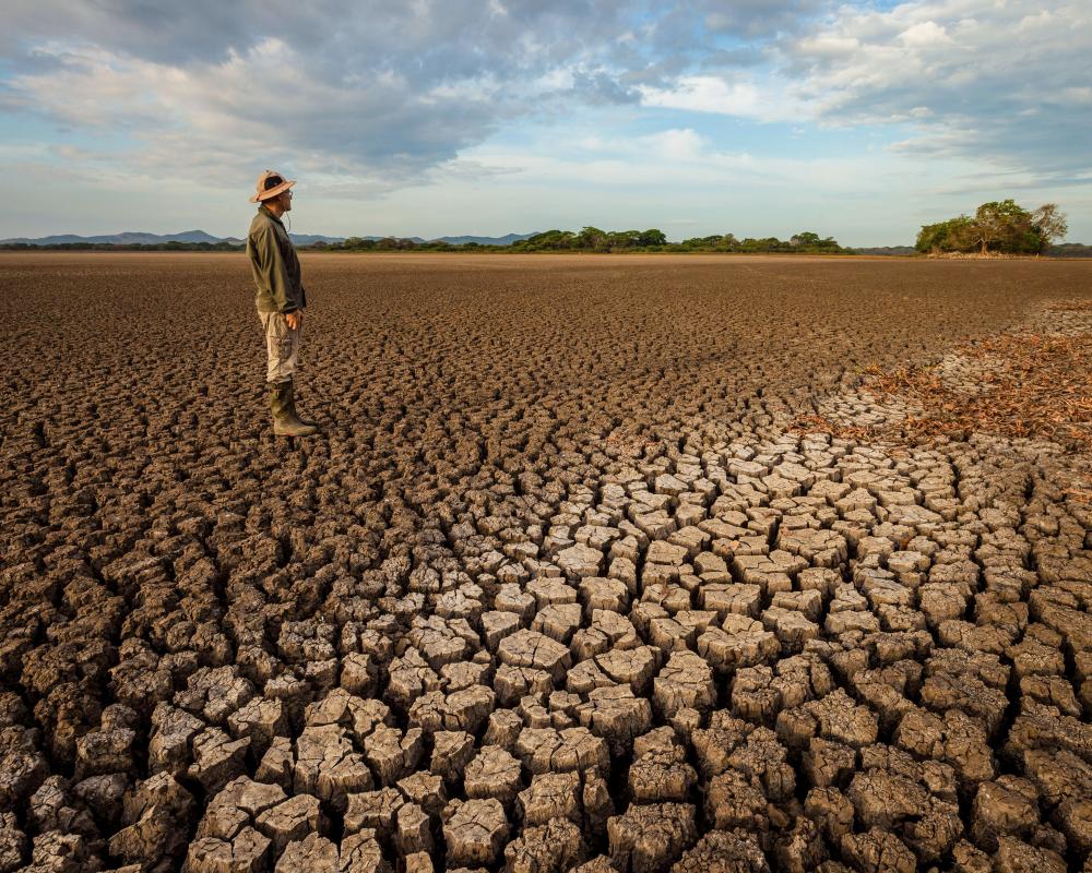Panama Canal Drought: How Water Crisis Threatens Global Trade