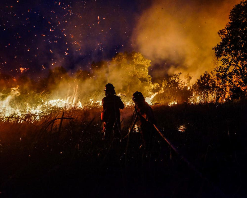 Indonesia Haze Crisis: Super El Nino Worsens Air Quality