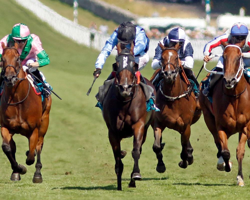 Asfoora Retirement on Hold After Gallant Goodwood Defeat